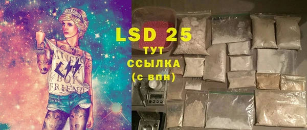 шишки Белокуриха
