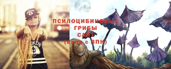 дмт Богородицк