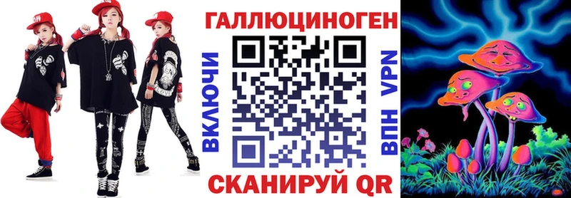 закладки  Дигора  Галлюциногенные грибы Magic Shrooms 